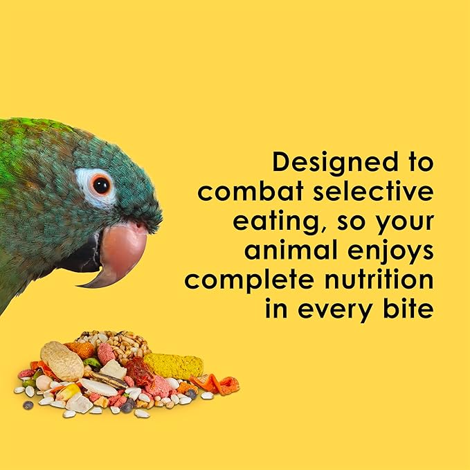 Kaytee Fiesta Big Bites Small Parrot & Conure Food, Nutritious and Fun Blend, Supports Skin, Feather, Digestion, Brain and Heart Health, 4 pounds
