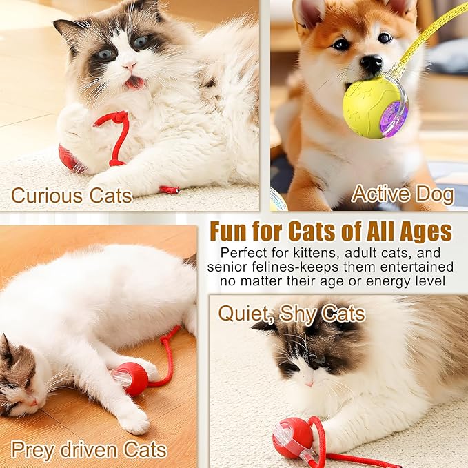 Interactive Cat Toys for Indoor Cats, 2025 New Interactive Cat Toys, Intelligent Automatic Rolling Pet Ball, Automatic Obstacle Avoidance Cat Toy Ball with Rope, Three Modes Adjustment (yellow)