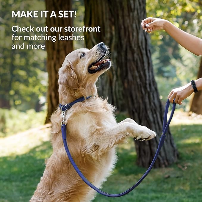 CollarDirect Rolled Leather Dog Collar, Soft Padded Round Puppy Collar, Handmade Genuine Leather Collar Dog Small Large Cat Collars 13 Colors (6 Inch, Deep Blue Smooth)