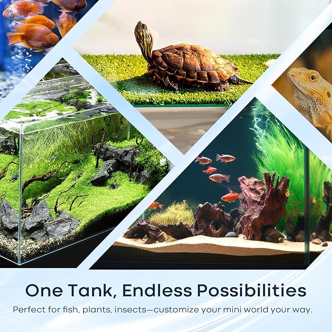 6 Gallon Glass Fish Tank, Small Aquarium Fish Bowl Cube for Betta Goldfish Snails Shrimp Aquatic Planting, Easy to Maintain Ultra Clear Rimless Design 5 Gallons Low Iron