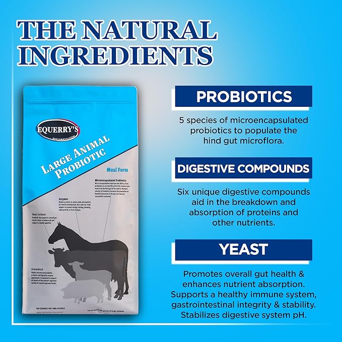 Equerry's Large Animal Probiotic | Supplements for Gut Health and Nutrient Absorption | Probiotics and Digestive enzymes for Horses, Cows, Goats, Sheep, Pigs, 160 Feedings (20lbs) for 1000 lb Animal