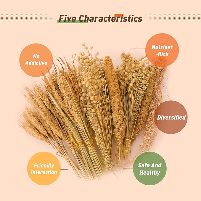 ZIPPYPET Hamster Sprays and Forage Accessories for Cages, Pet Mouse Decor Textures (5)