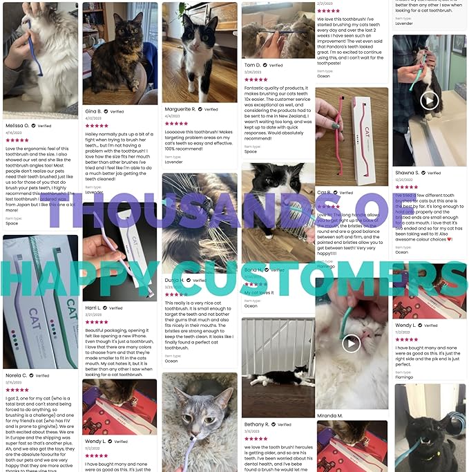 RYERCAT Set of 2 Dual Sided Cat Toothbrush - Kitten Toothbrush with Micro Head to fit into Cat/Kittens Mouth - Cat Dental Care Supplies - Pet Toothbrush for Cats(Amethyst Purple & Ocean Blue)