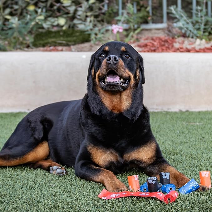 Best Pet Supplies Dog Poop Bags (360 Bags) for Waste Refuse Cleanup, Doggy Roll Replacements for Outdoor Puppy Walking and Travel, Leak Proof and Tear Resistant, Thick Plastic - Assorted Colors