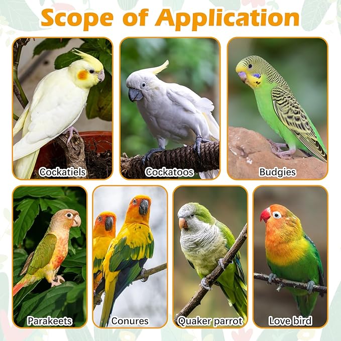 kathson 8 PCS Natural Bird Wood Perch Parakeet Standing Toy Sticks Parrot Paw Grinding Branches Cockatiels Cage Chewable Accessories for Conures Macaws Finches