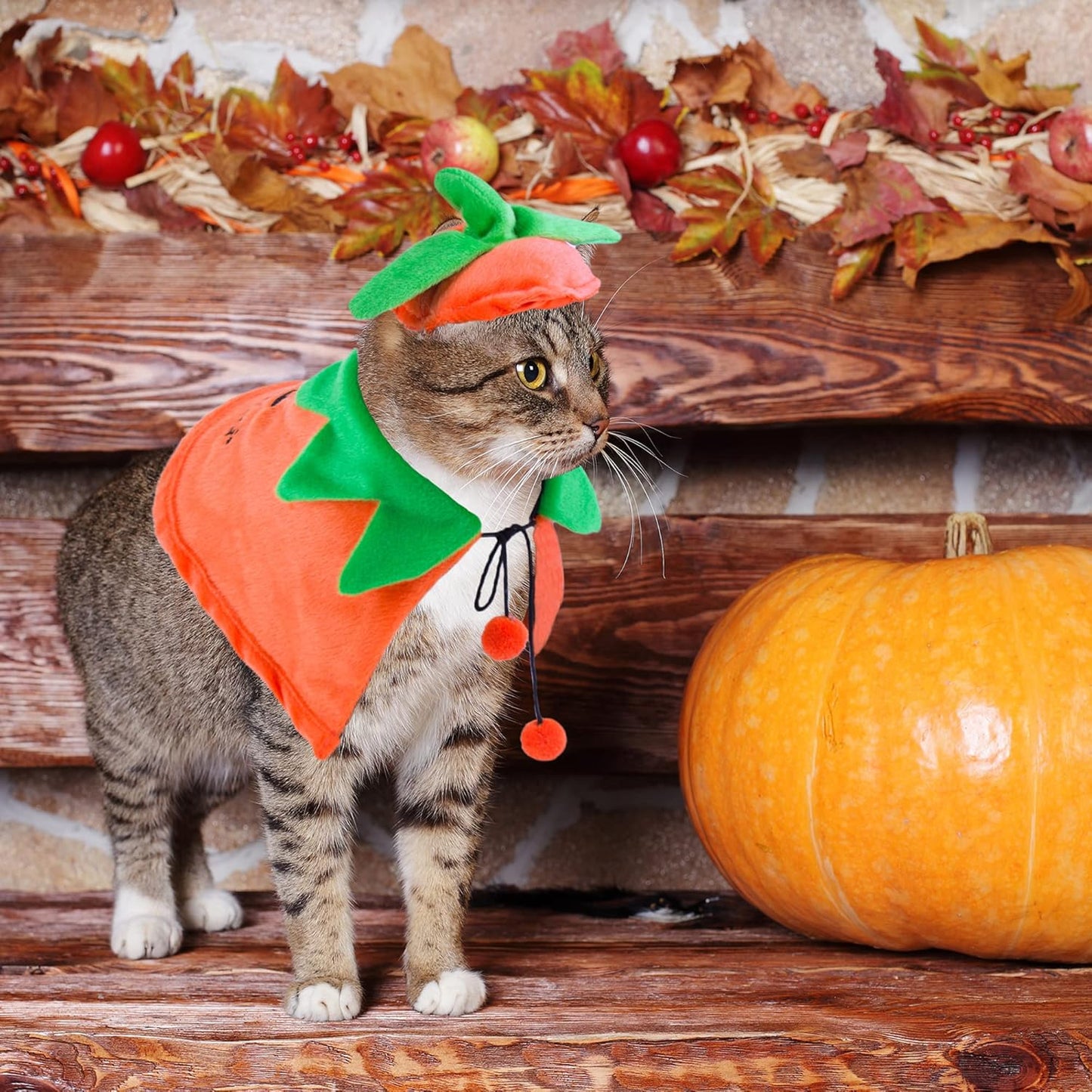 Halloween Cat Costumes Kitten Pumpkin Cloak Hat Set Halloween Pumpkin Costumes for Cats Kittens