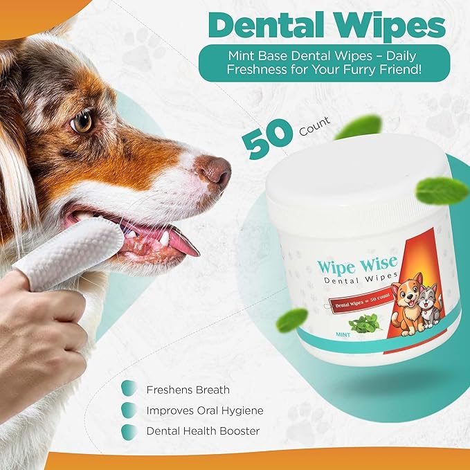 100 Pet Wipes (8x8'' Unscented) - 100 Ear Wipes (Coconut) - 50 Dental Wipes (Mint Infused) for Dogs & Cats, 250 Wipes, Alcohol-Free, Safe & Gentle- Great Value Bundle, Pet Care