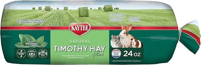 Kaytee All Natural Timothy Hay Plus Mint for Guinea Pigs, Rabbits & Other Small Animals, 24 Ounce (Pack of 2)