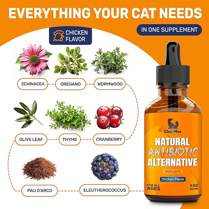 Cat Antibiotic to Help with Cough & Allergies β Antibiotics for Cats to Aid with UTIs and Digestive Moments β HIPS & Joints Support β Attractive Chicken Taste β 1 Oz Bottle
