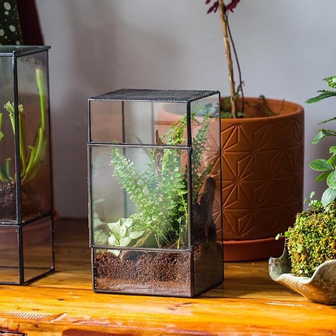NCYP Glass Terrarium with Door and Mesh for Small Insects - 5.1 x 3.9 x 9 Inches Rectangle Reptile Habitat, Black - Modern Home Tabletop Decor (Terrarium Only)