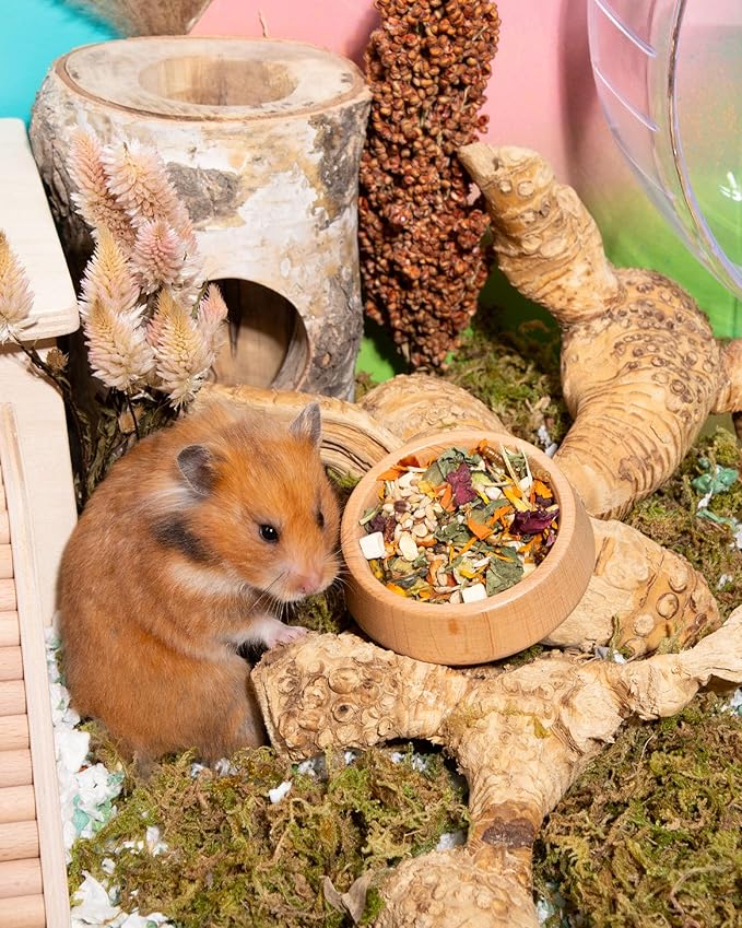 Niteangel Golden Hamster Food & Treats - Small Animal Natural Food for Syrian Golden Hamsters or Other Small-Sized Pets