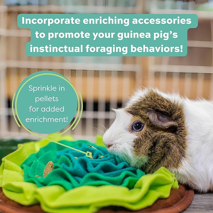 Oxbow Essentials Adult Guinea Pig Food - All Natural Adult Guinea Pig Pellets- No Artificial Ingredients- Veterinarian Recommended- All Natural Vitamins & Minerals- Made in the USA - 25 lb.