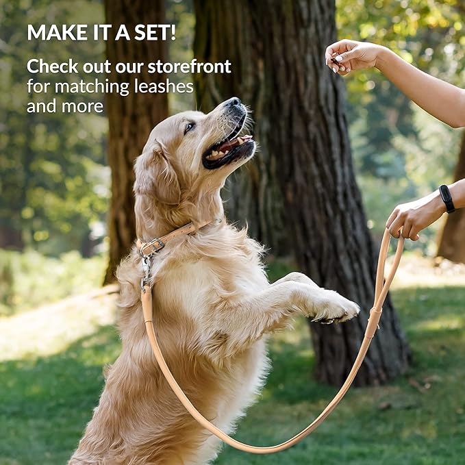 CollarDirect Rolled Leather Dog Collar, Soft Padded Round Puppy Collar, Handmade Genuine Leather Collar Dog Small Large Cat Collars 13 Colors (13-16 Inch, Beige Smooth)