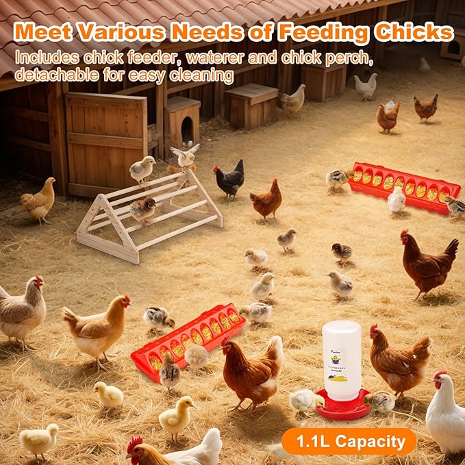 Pawaboo 6-in-1 Chicken Brooder Box for Chick Starter Kit, Includes Pet Cage Tent, Brooders Heating Plate, Chicks Perch, Feeder and 1.1L Chick Waterer, Baby Chicks Supplies (Brooder Set)