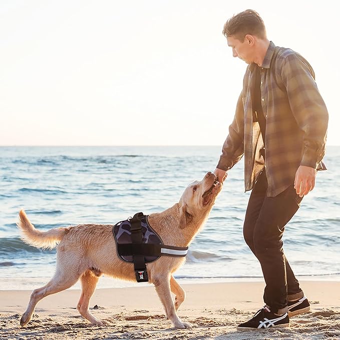 Dogline Dog Harness, Reflective No-Pull Adjustable Vest with Handle for Walking, Training, Breathable, No - Choke Harness for Small, Medium or Large Dogs Room for Patches Girraffe Grey L 27"-34"