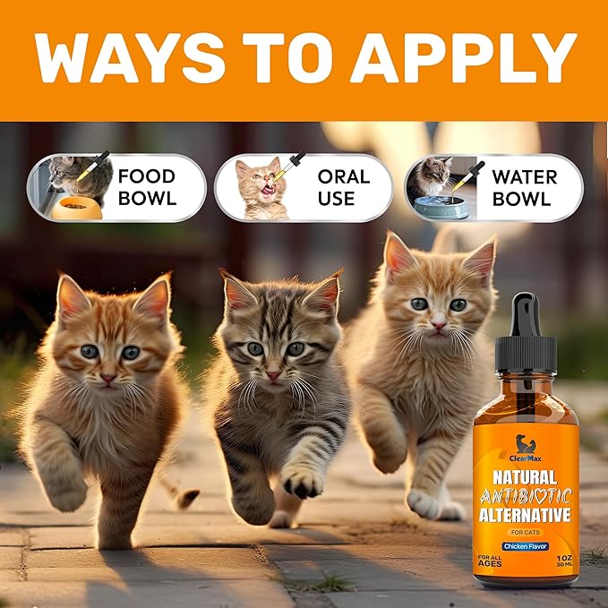 Cat Antibiotic to Help with Cough & Allergies β Antibiotics for Cats to Aid with UTIs and Digestive Moments β HIPS & Joints Support β Attractive Chicken Taste β 1 Oz Bottle