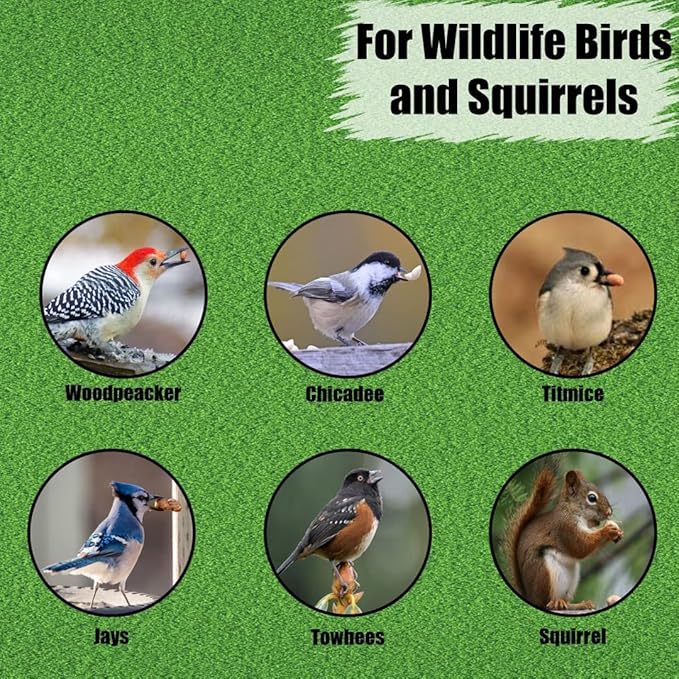 Old Potters Wildlife Shelled Peanuts, 25 lbs for Birds, Squirrels, and Wildlife. USA Grown Non-GMO, Organic Small Farm, Raw Shelled Peanuts. Wildlife Grade, 25 lbs.