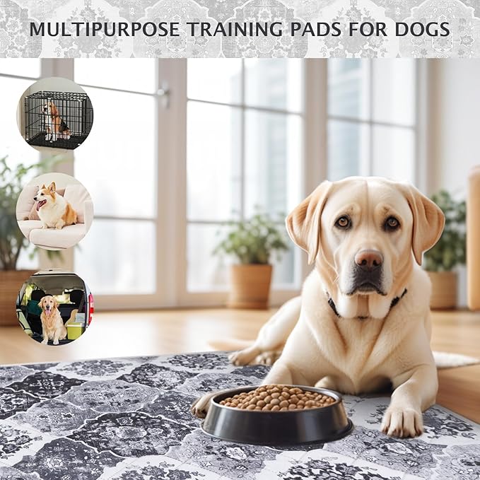 IEUUMLER Washable Pee Pads for Dogs, 2 Pack Reusable Pee Pads for Dogs Non-Slip Grip, Super Absorbent Waterproof Puppy Pads for Potty Training, Playpen, Crate, Whelping Box EU011 Black Grey, 24x18
