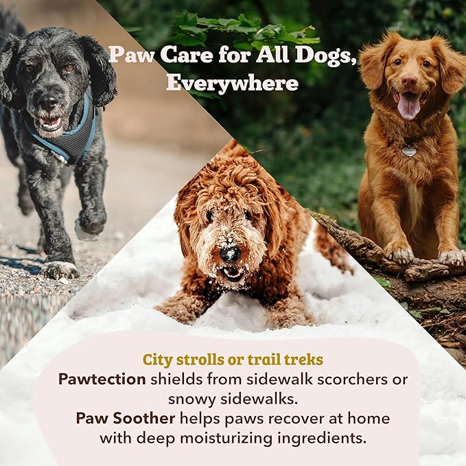 Natural Dog Company Paw Soother Balm - Soothing Cream for Dog Paws, Paw Care for Dogs, Healing Balm for Paws, Dog Paw Balm for Hot Pavement, Organic Shea Butter, Coconut Oil, Lick Safe 2 oz Tin