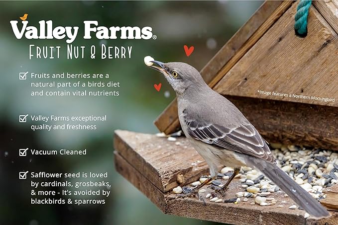 Valley Farms Fruit Nut & Berry (4 LB) Wild Bird Food Outside Feeders, Bird Seed with Dried Fruit, Peanuts, Sunflower, and Safflower, High Energy Mix for Healthy Birds!