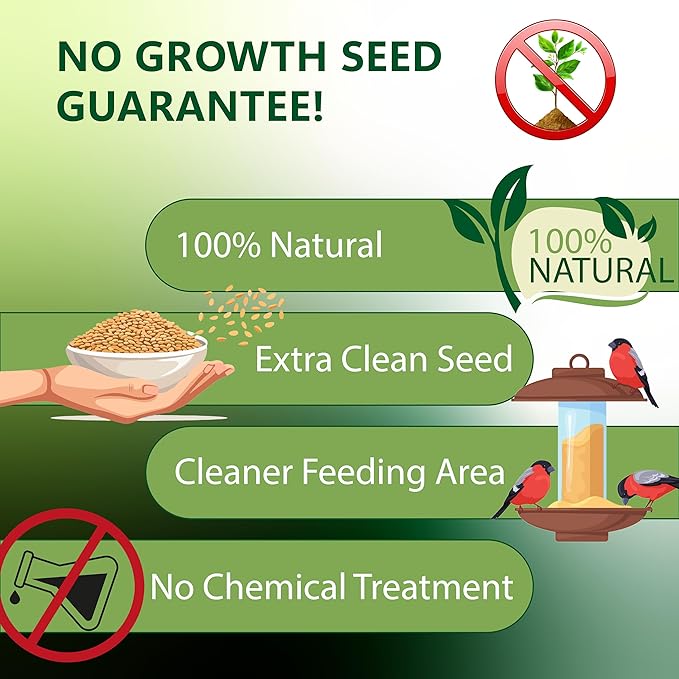 Shelled Peanuts Seeds Combo Wild Bird Food - 10 Pounds- 5 Pounds Combo Pack of 2 I No Grow Seed I Bird Food for Wild Birds