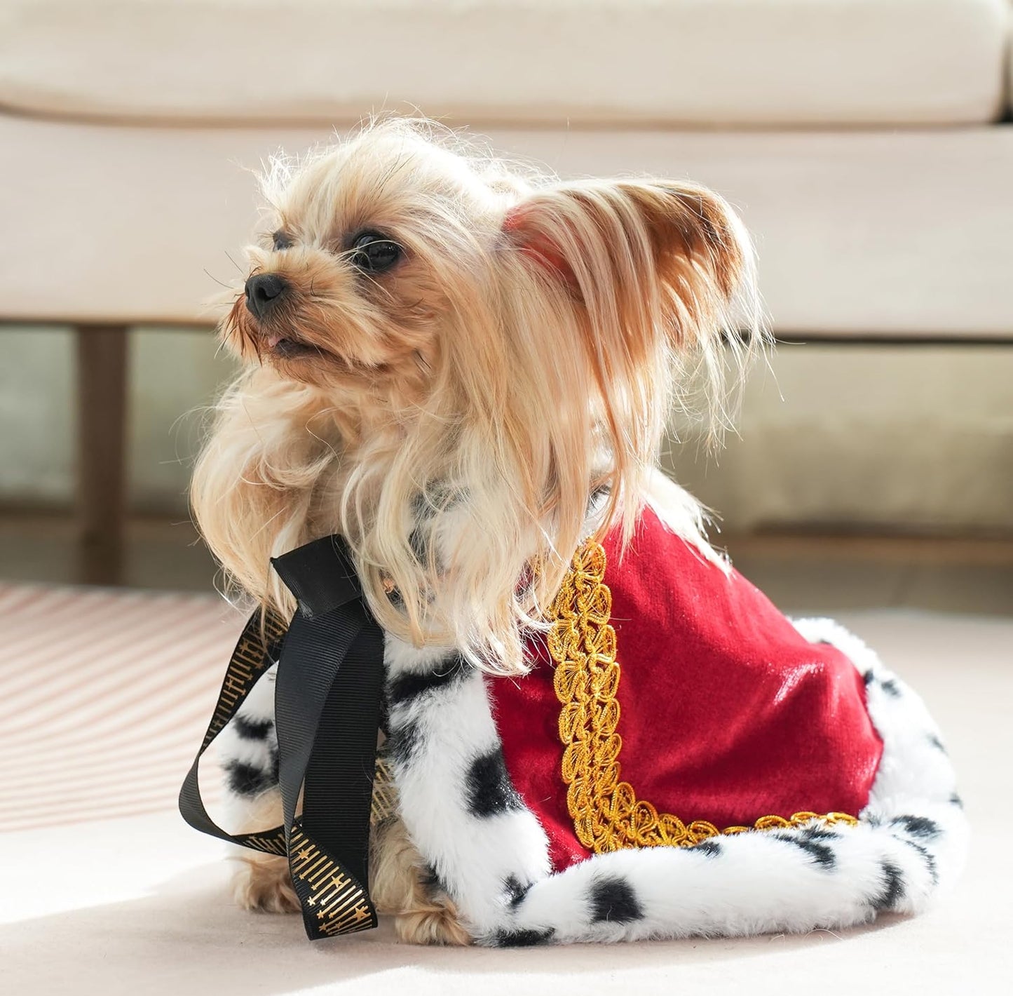 Lovelyshop pet Serial Lux Fur Red Cat Dog Cloak for Halloween Costumes, King Queen Prince and Princess Cosplay-(X-Small to X-Large)