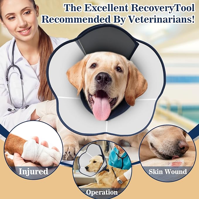 Hard & Heavy Plastic Dog Cone Collar Alternative for Medium Dogs (French Bulldog Dachshund) After Surgery, Adjustable Recovery Cone Anti-Lick, Elizabethan Protective Collar Cone of Shame for Healing