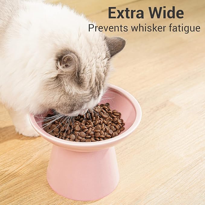 Extra Wide Elevated Ceramic Cat Bowl, 6.2" Shallow Dish for Whisker Fatigue Relief, 5" Height for Easy Feeding, Durable Raised Cat Food Bowls, Pack of 2, Pink