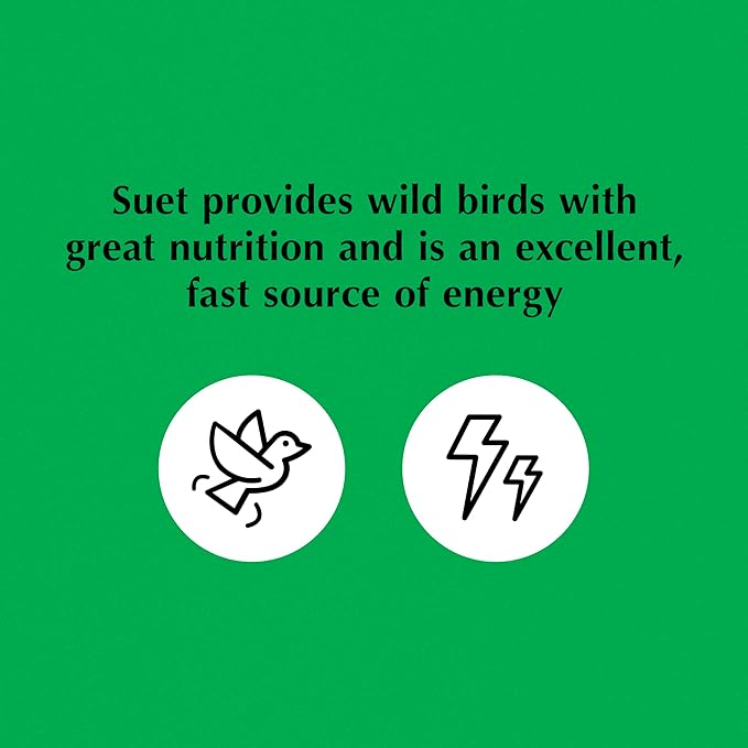 C&S Sunflower Suet Nuggets, Suet Nuggets for Wild Birds, 8 Lbs