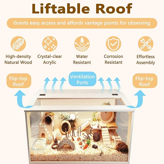 Hamster Cage Wooden Chew Proof, Extra Large Mice and Rat Habitat Openable Top with Acrylic Sheets Solid Built Small Animal Cage with Leg Stands, 24 Inch Long