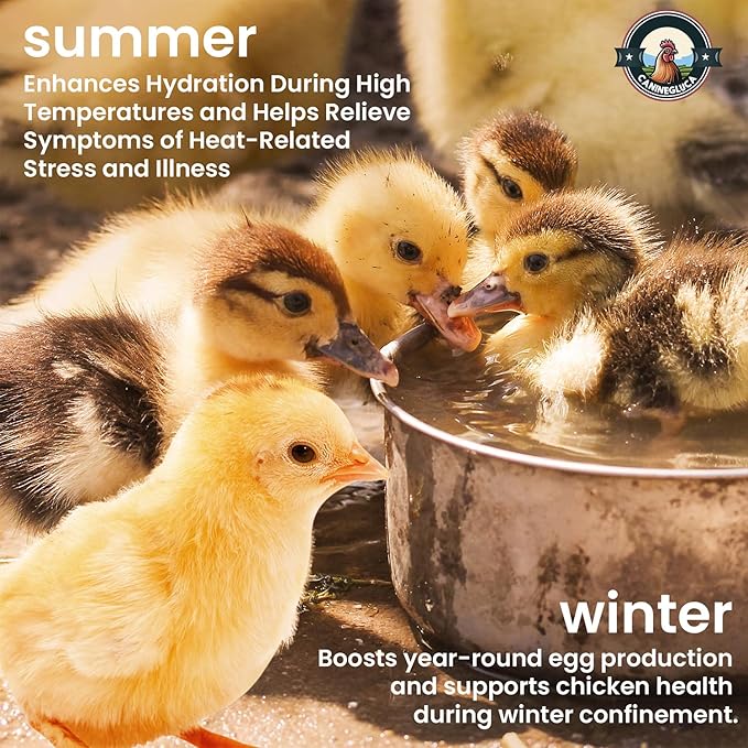 Chick’n Aid, 8 oz Essential Chicken Supplement, Ideal for Hydration, Immunity, Digestive Health. Enhanced with Poultry Vitamins, Electrolytes, and Probiotics, for Chickens, Ducks, Turkeys