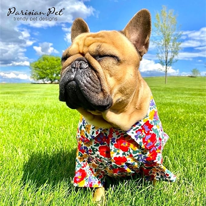 Parisian Pet Floral Dog Shirt - 100% Cotton Summer Clothes - Stylish Beach Outfit - Hook and Loop Closure - Machine Washable - XL