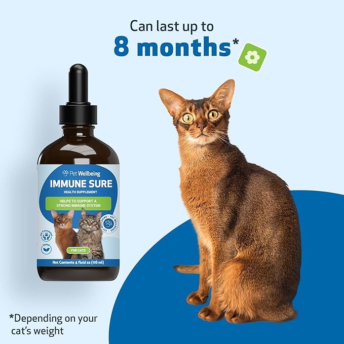 Pet Wellbeing Immune Sure for Cats - Supports Normal Immune Defenses, Gut Flora Balance, Andrographis, Echinacea, Vitamin C, Zinc - Veterinarian-Formulated Herbal Supplement 4 oz (118 ml)