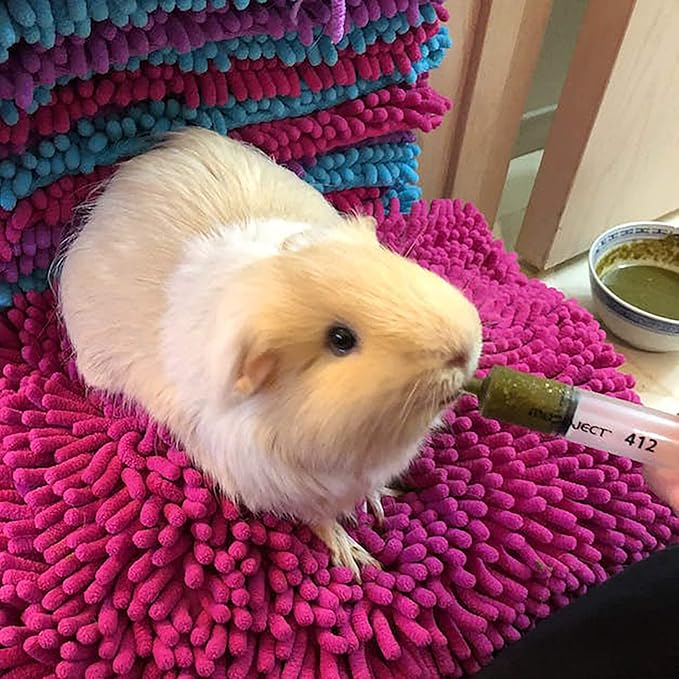 Pet Guinea Pig Emergency Kit with Timothy Recovery Food (Large Emergency Kit)