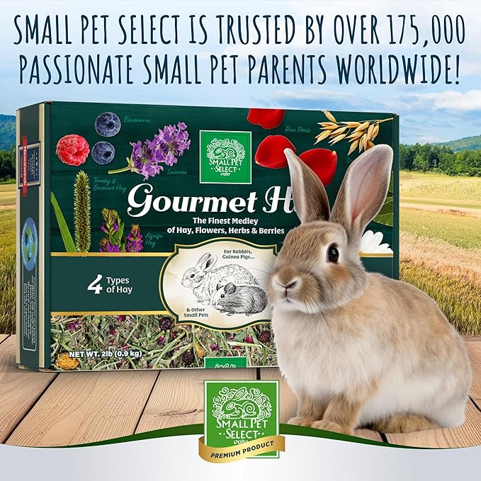 Small Pet Select - Gourmet Hay Pet Food, Exclusive Treat Hay, Flowers, and Herb Blend, for Rabbits, Guinea Pigs, Small Animals, 2lb