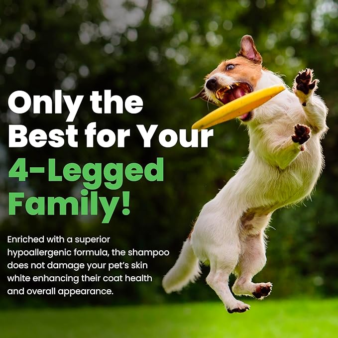 Best Shot Scentament Spa Seasonal Body and Facial Wash, Tearless Shampoo, Hypoallergenic Body Wash, Removes Tear Stains, Exotic Island, 1 Gallon