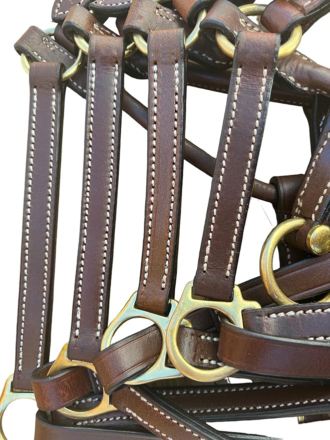Leaders 3/4" Leather Halter for Horses with Customized Engraved Name Plate Brown Leather with Solid Brass Hardware