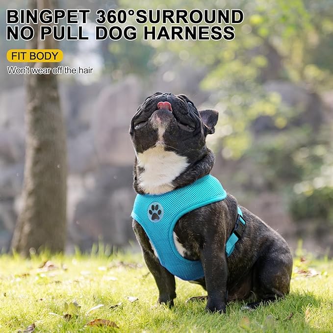 BINGPET No Pull Dog Harness,Soft Mesh Breathable All Weather Vest Harness,Safety Protection Design Durable Adjustable Step-in Easy Walk Dog Harness for Small Medium Large Dogs(RoyalBlue,M)