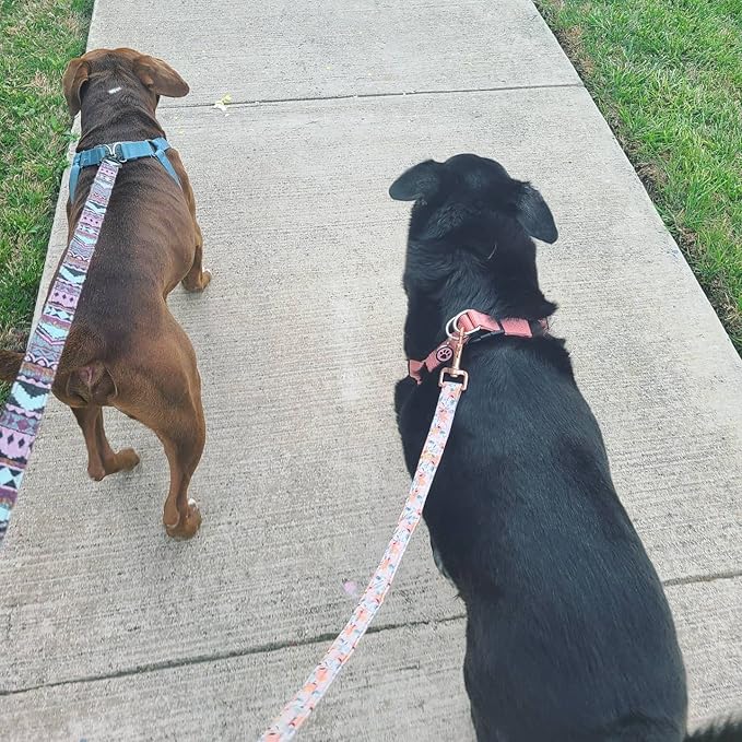 PUPTECK No Pull Dog Harness Soft Adjustable Basic Nylon Step in Puppy Vest Outdoor Walking with ID Tag Medium LightCoral