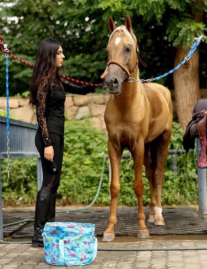 Harrison Howard Horse Grooming Kit 11-Piece Equine Care Series Horse Brush Sets with Organizer Tote Bag Tack Room Supplies Shedding Grooming Massaging Tools Blue Brushstroke Ponies