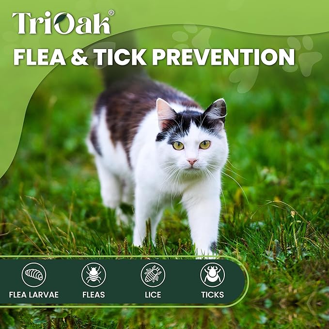 Flea and Tick Prevention for Cats: Flea & Tick Topical for Cats Over 1.5lbs, 6 Dose Flea and Tick Control/Prevention for 6 Months (6 Pack)