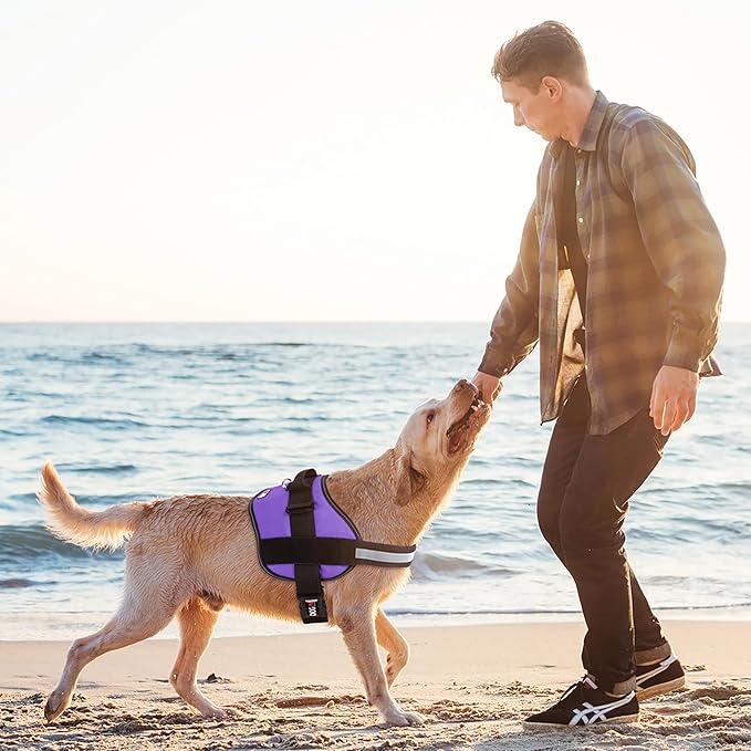 Dogline Dog Harness, Reflective No-Pull Adjustable Vest with Handle for Walking, Training, Breathable, No - Choke Harness for Small, Medium or Large Dogs Room for Patches Girth 27 to 34 in Purple