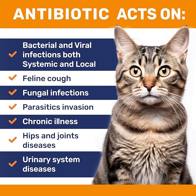 Cat Antibiotic to Help with Cough & Allergies β Antibiotics for Cats to Aid with UTIs and Digestive Moments β HIPS & Joints Support β Attractive Chicken Taste β 1 Oz Bottle