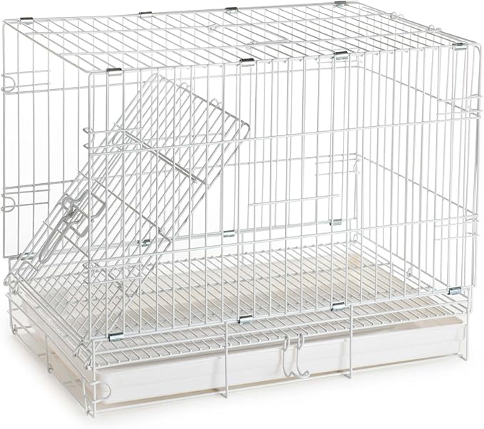 Pet Products Metal Portable Travel Vet Bird Parrot Carrier Cage Prevent Beaks Out White, 19-Inch by 12-Inch by 16-Inch