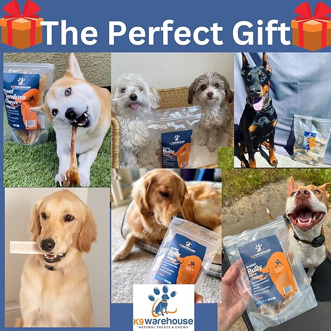 Beef Bone Marrow Dog Treats - Long Lasting Dog Bones for Aggressive Chewers - All-Natural Marrows Treats for Dogs - High-Protein Marrow Bones for Dogs Small, Medium, Large & Extra Large