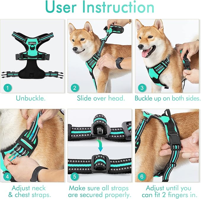 rabbitgoo Dog Harness No Pull with 2 Leash Clips, Adjustable Soft Padded, Reflective Oxford No Choke Pet Vest with Easy Control Handle for Large Dogs, Turquoise, L
