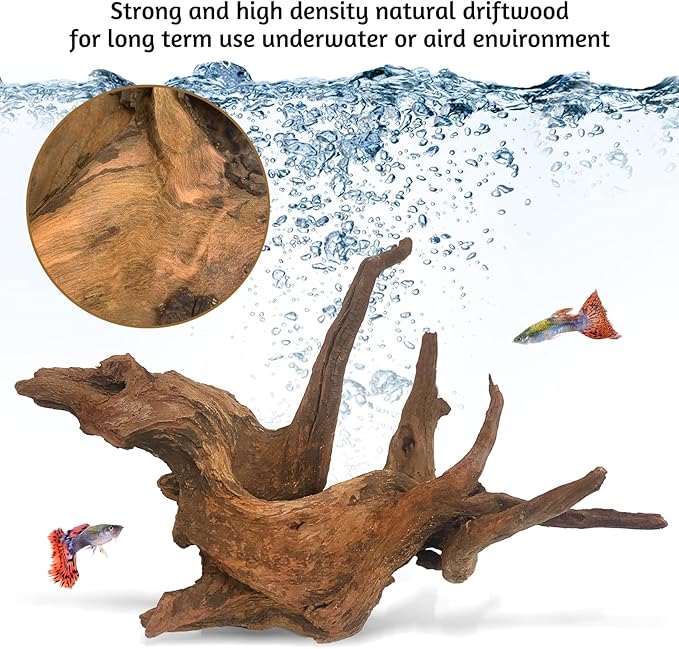 kathson Natural Large Aquarium Driftwood Decoration Branches Reptiles Terrarium Ornament Wood Fish Tank Habitat Decor Assorted Sizes Wood 2 PCS (15"-19")