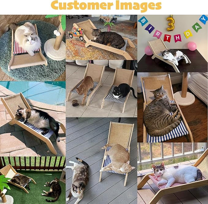 PETKARAY Cat Chair, Beach Theme Cat Hammock Bed, Raised Bed, Mini Beach Chair, Cute Lounger for Indoor Kittens