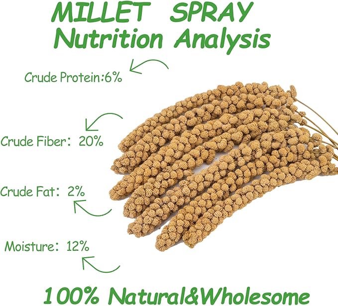 RANZ 5LBS Millet Spray for Birds, GMO-Free, Sun Dried Spray Millet, Original Bird Treats & Supplement for Parrots, Cockatiels, Lovebirds, Painted Buntings and Finches, Parakeets Food