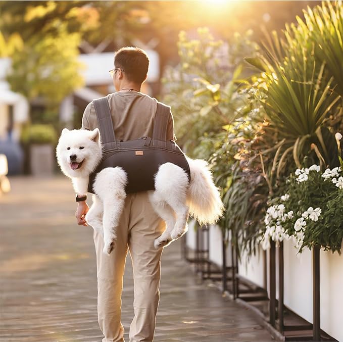 Dog Lift Harness Backpack Carrier for Large Dogs, Full Body Sling with Handle, Dog Harness for Joint Injuries, Arthritis, Ideal for Stairs, Elderly Dogs (Black S/M-Large 14-20 LBS)